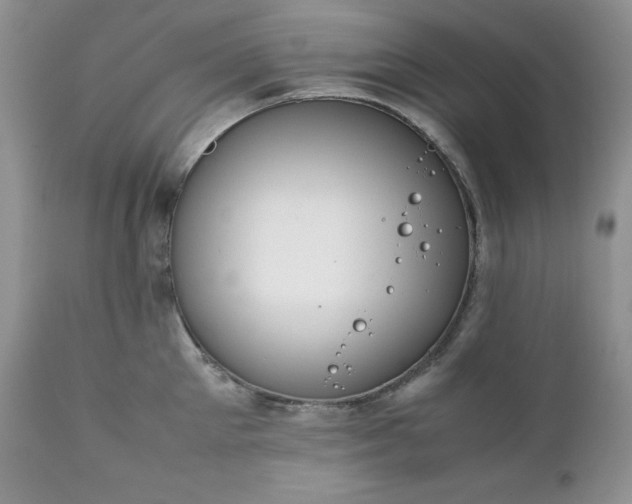 X0000111780905200907301118
