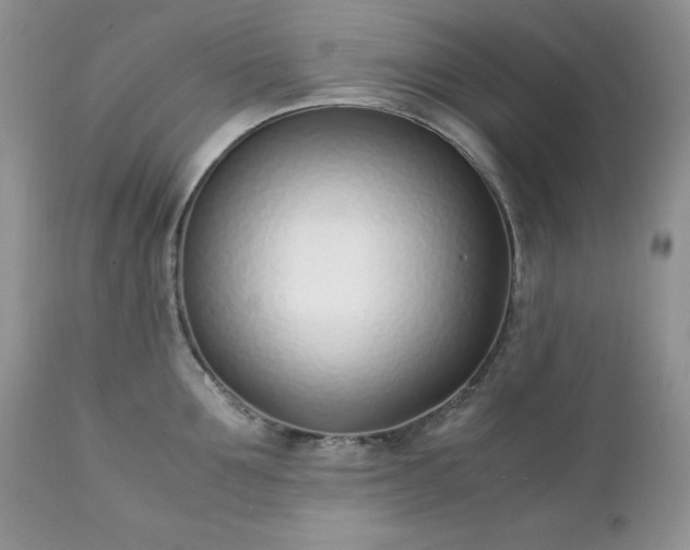 X0000111780907200907301118