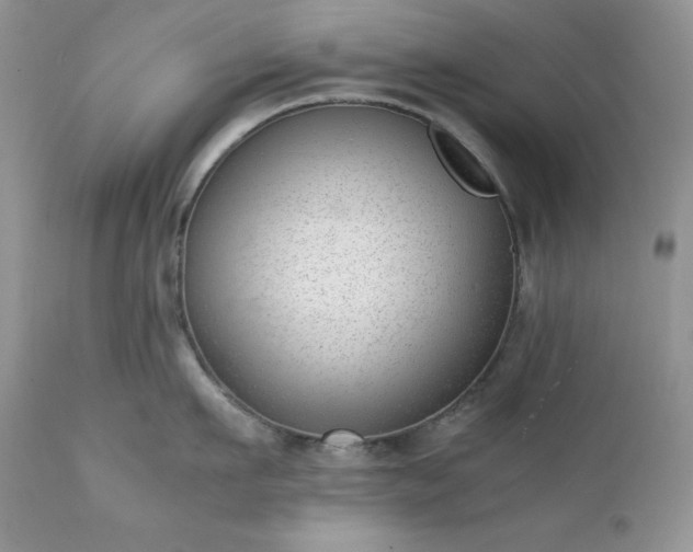 X0000111780911200907301118
