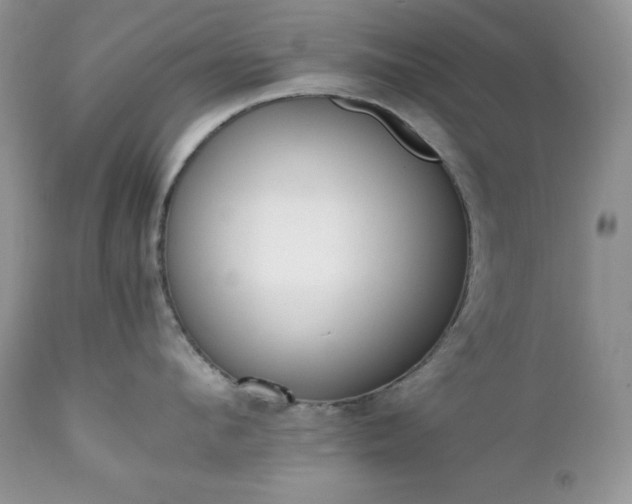 X0000111780912200907301118