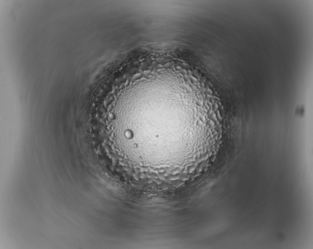 X0000111780913200907301117