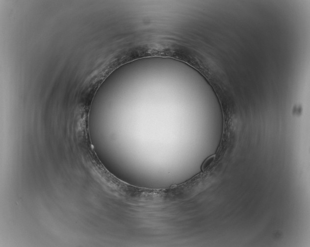 X0000111780914200907301117