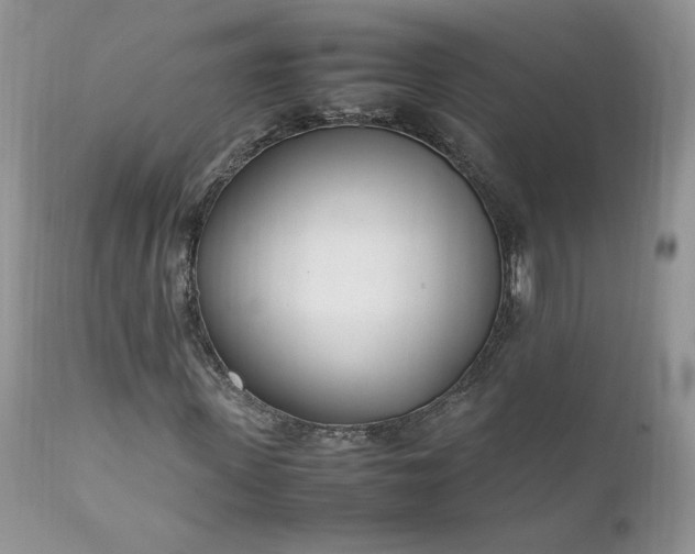 X0000111780915200907301117