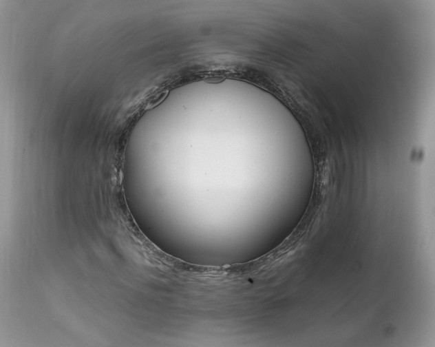 X0000111780916200907301117