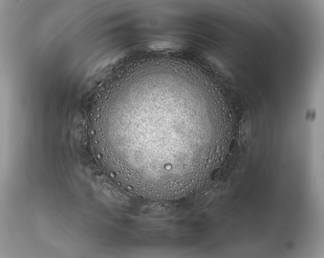X0000111780917200907301117