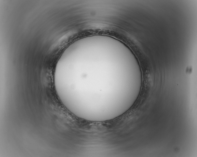 X0000111780918200907301117