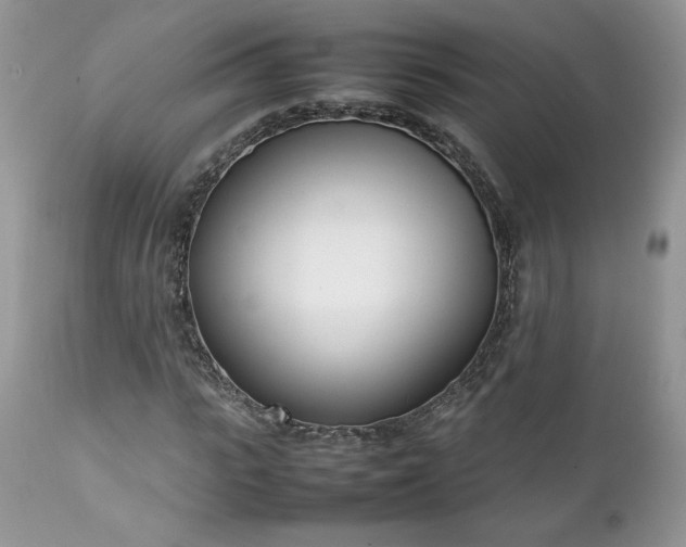 X0000111780919200907301117