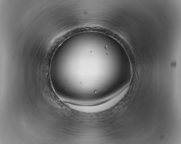 X0000111780920200907301117