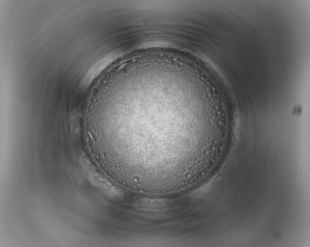 X0000111780921200907301117