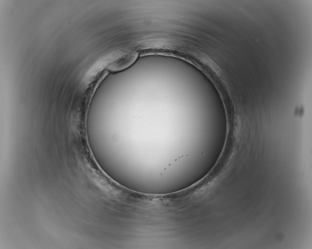 X0000111780922200907301117