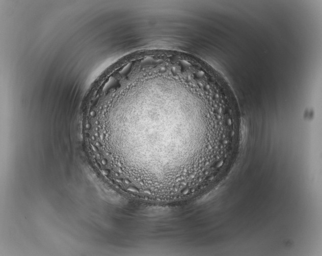 X0000111780925200907301117