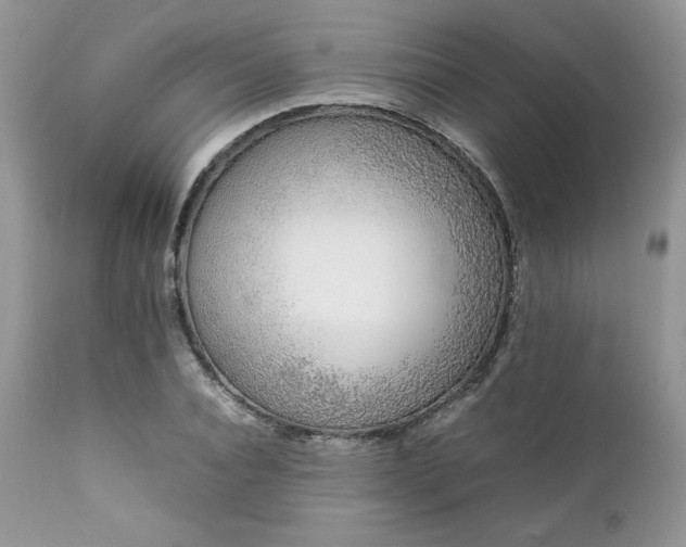 X0000111780928200907301117