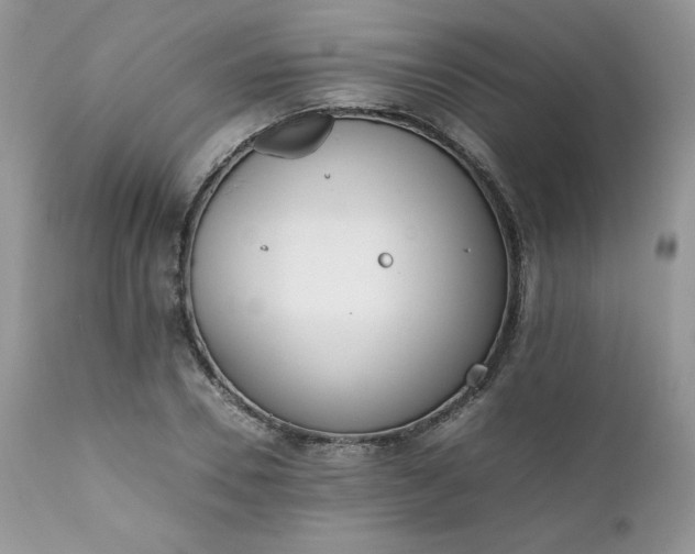 X0000111780930200907301117