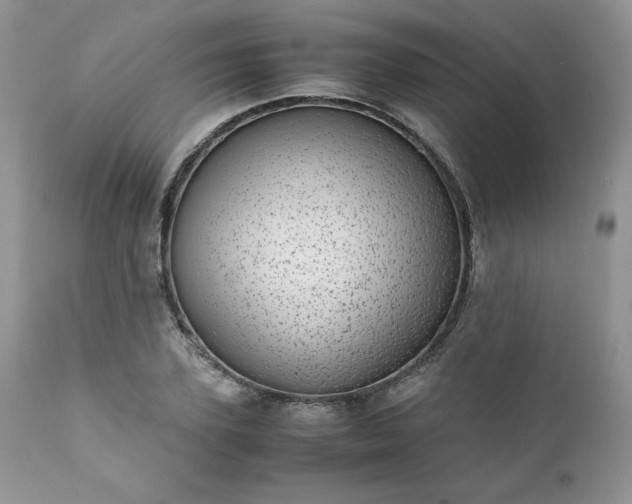 X0000111780931200907301117