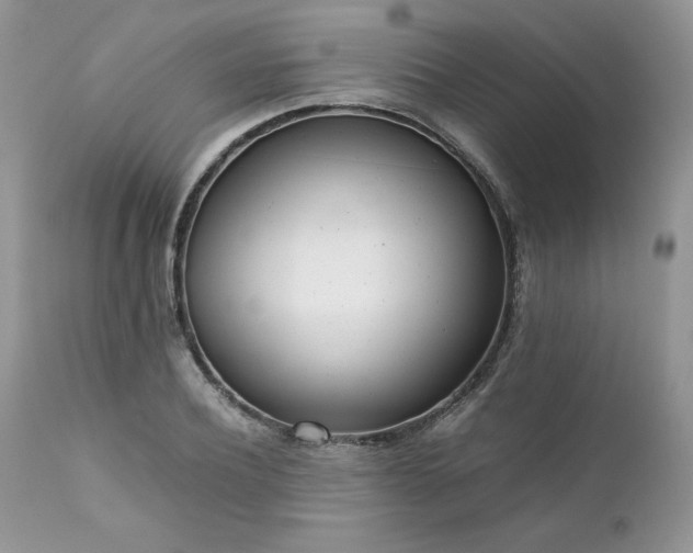 X0000111780932200907301117