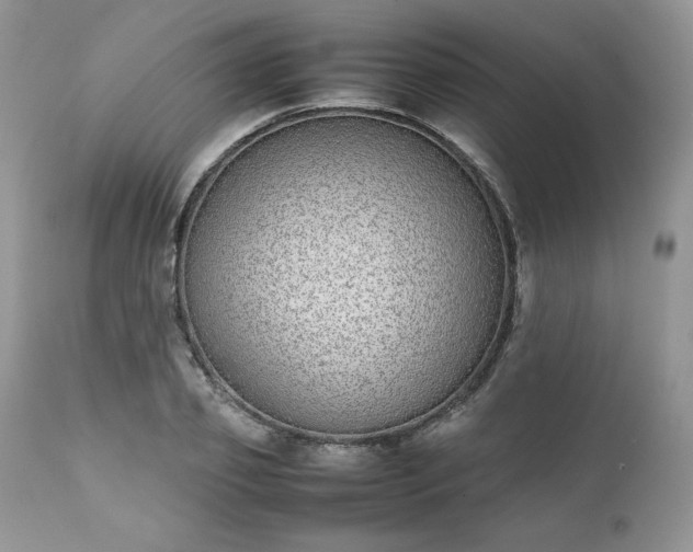 X0000111780933200907301117