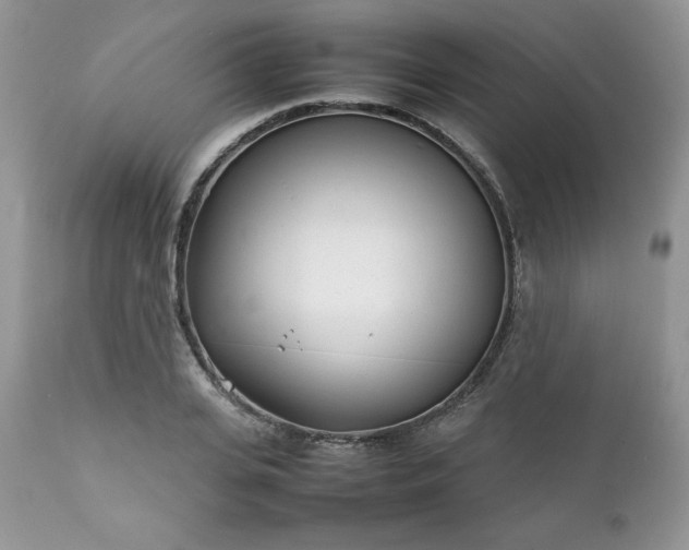 X0000111780935200907301117