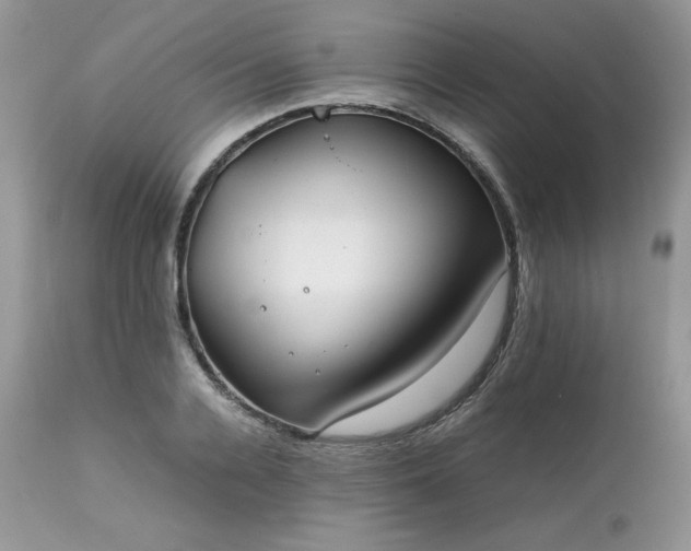 X0000111780936200907301117