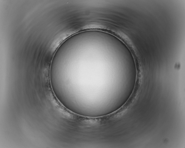 X0000111780937200907301117