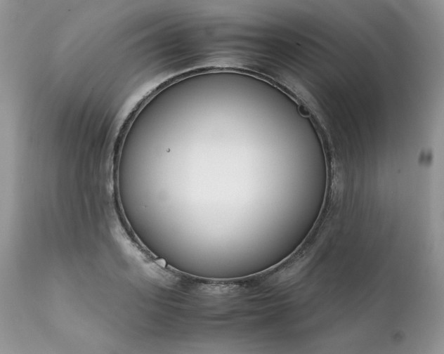 X0000111780939200907301117