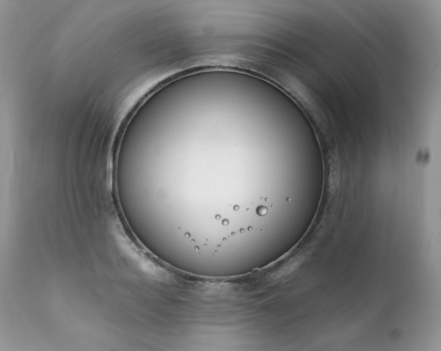 X0000111780940200907301117