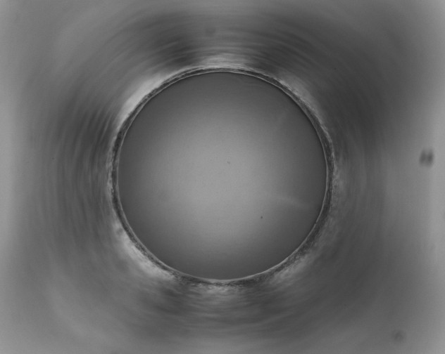 X0000111780941200907301117