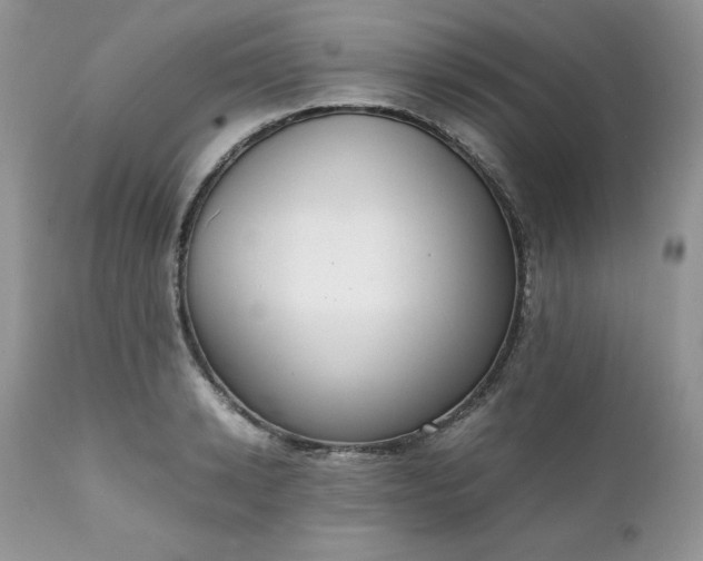 X0000111780942200907301117