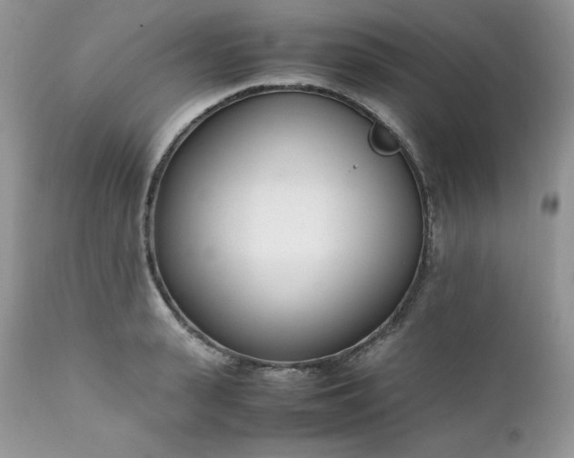 X0000111780943200907301117