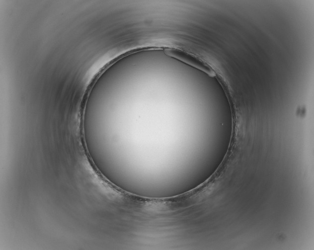 X0000111780944200907301118