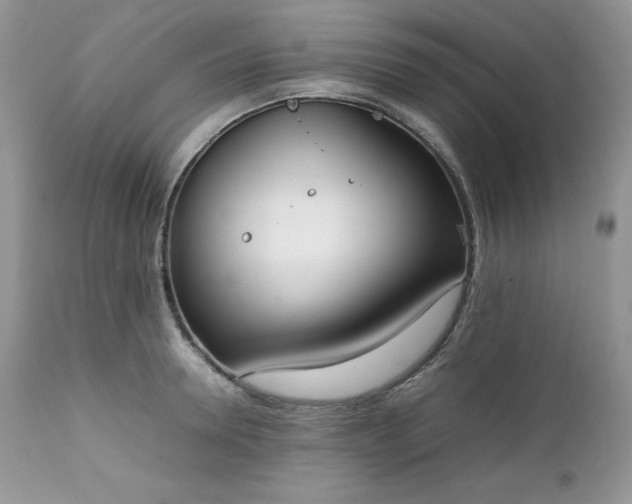 X0000111780946200907301118