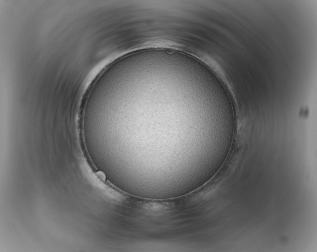 X0000111780947200907301118