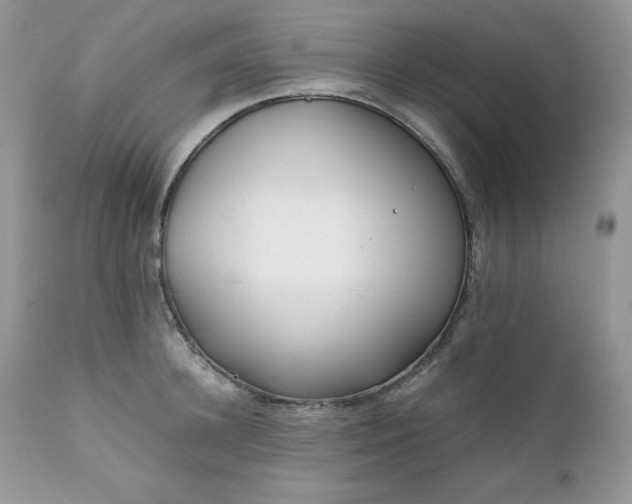 X0000111780948200907301118