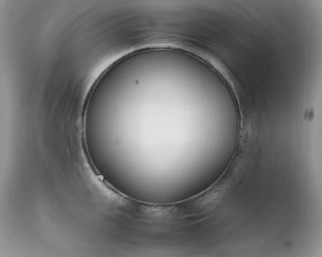 X0000111780951200907301118