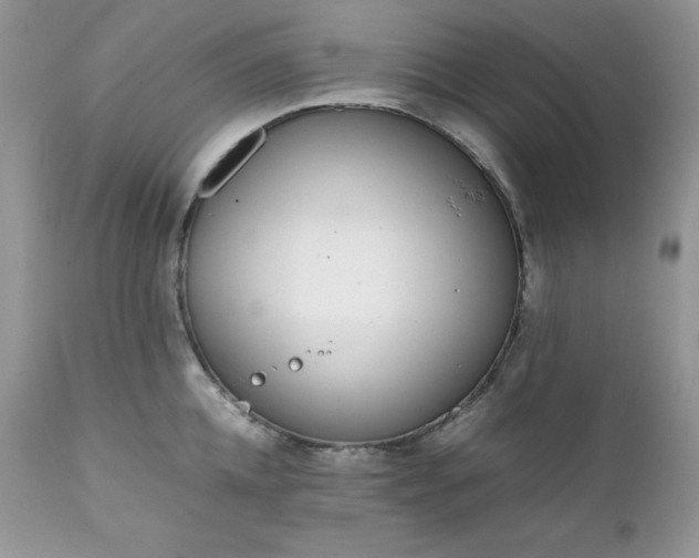 X0000111780952200907301118