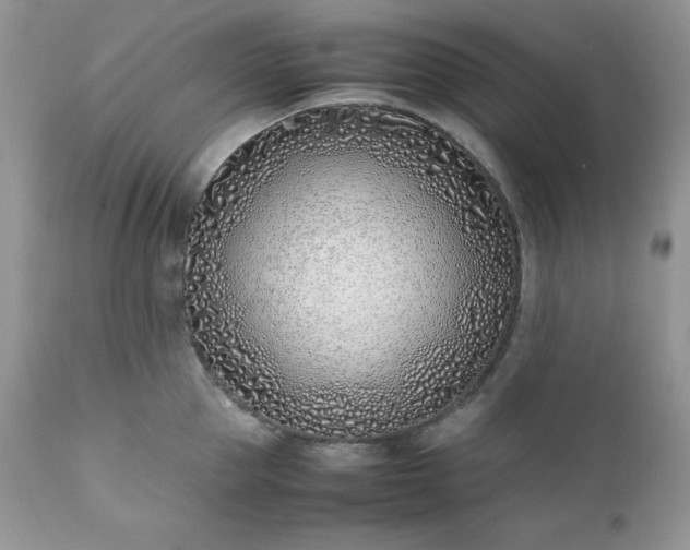 X0000111780953200907301118