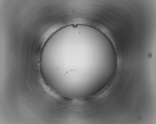 X0000111780954200907301118