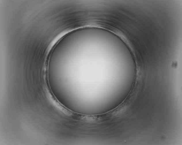 X0000111780955200907301118