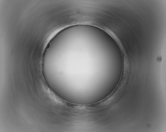 X0000111780956200907301118