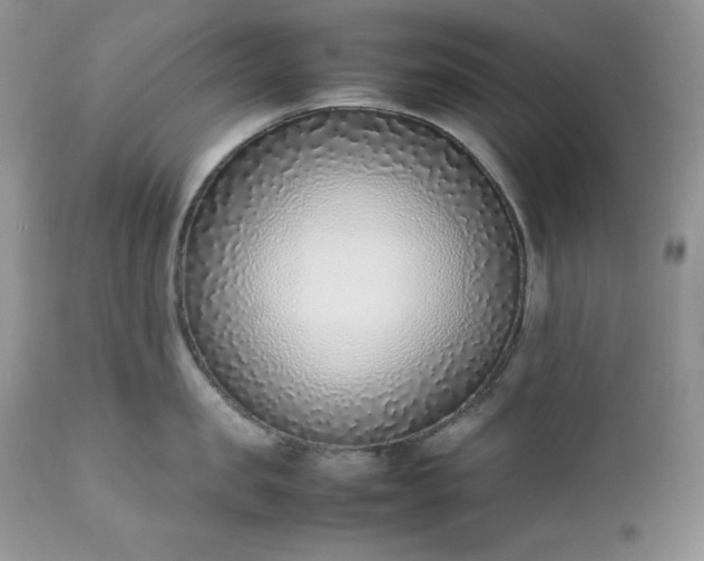 X0000111780957200907301118