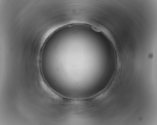 X0000111780958200907301118