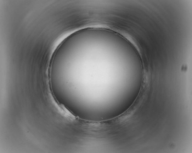 X0000111780959200907301118