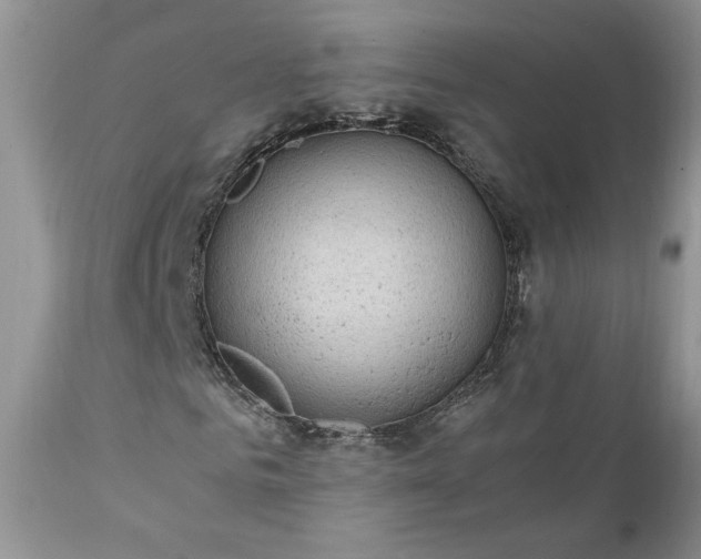 X0000111780961200907301117