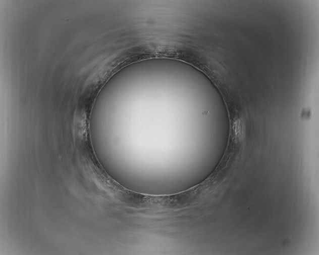 X0000111780963200907301117