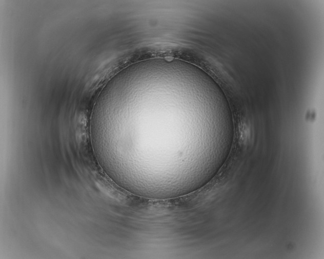 X0000111780964200907301117