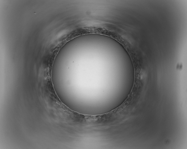 X0000111780965200907301117