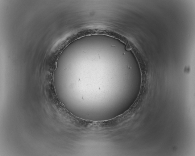 X0000111780967200907301117