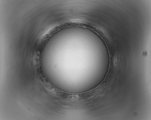X0000111780968200907301117