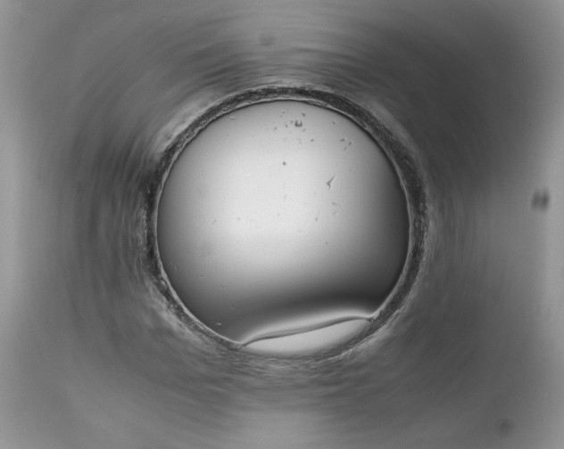 X0000111780969200907301117