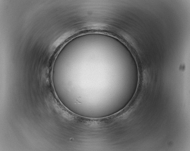 X0000111780970200907301117