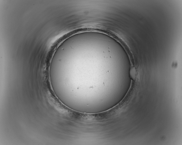 X0000111780971200907301117